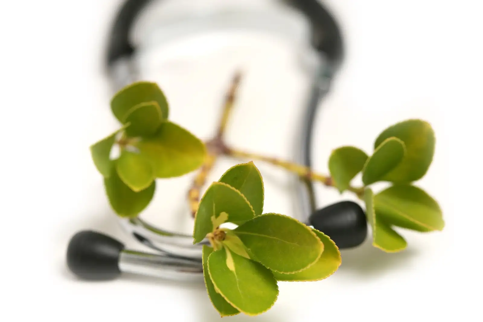 Botanical Medicine