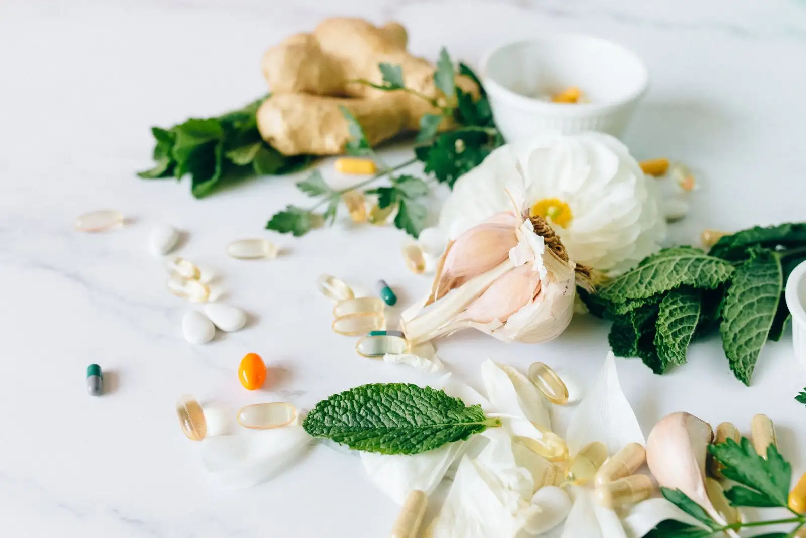 Fertility Optimization Program